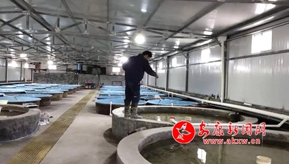 嵐皋縣各漁業(yè)企業(yè)有序開展復工復產(chǎn)工作，保障畜牧漁業(yè)飼料供應